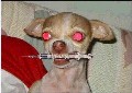 Benutzeravatar